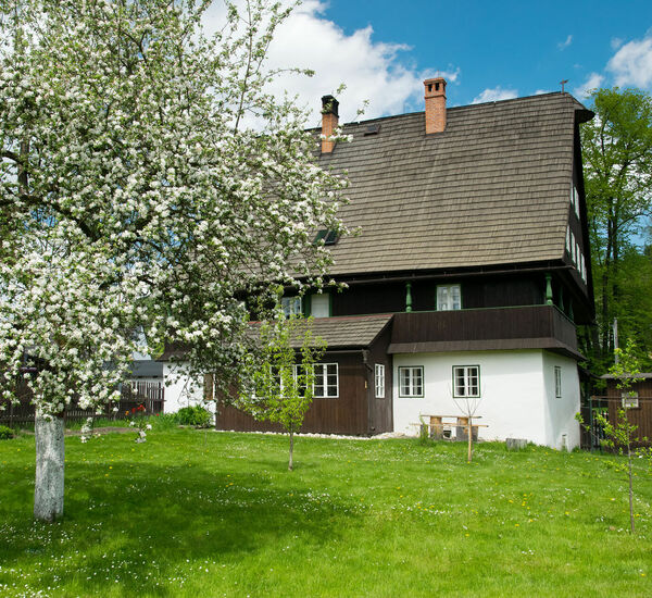 Otevírací doba během státního svátku - 1. května