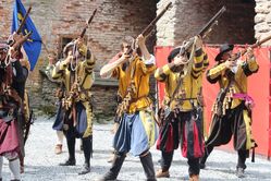 Dobývání hradu Sovince