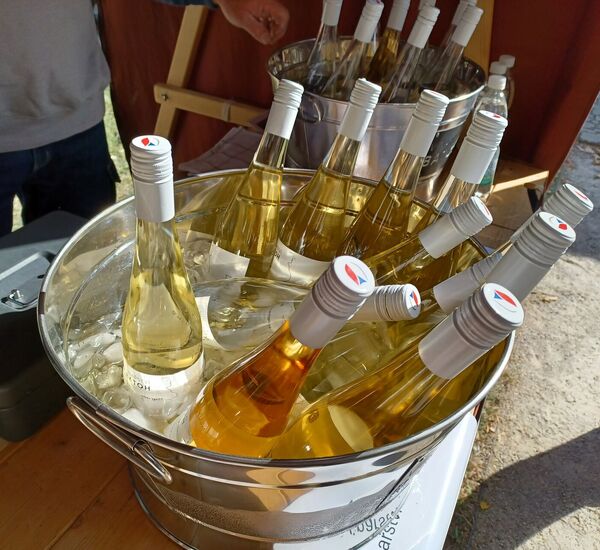 Letní slavnosti vína na zámku Bruntál