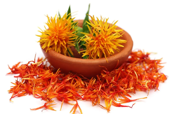 Barvení přírodními barvivy - Muzeum pod lupou