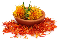 Barvení přírodními barvivy - Muzeum pod lupou