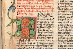 Pilíře víry a jazyka (české tištěné bible 15. až 18. století)